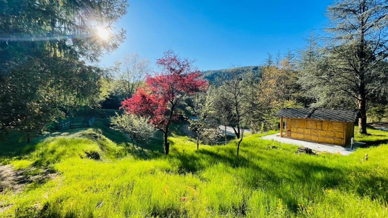 Chambre D'Hote Lavande - Le Soleil Des Cevennes Saint-Jean-du-Gard Buitenkant foto