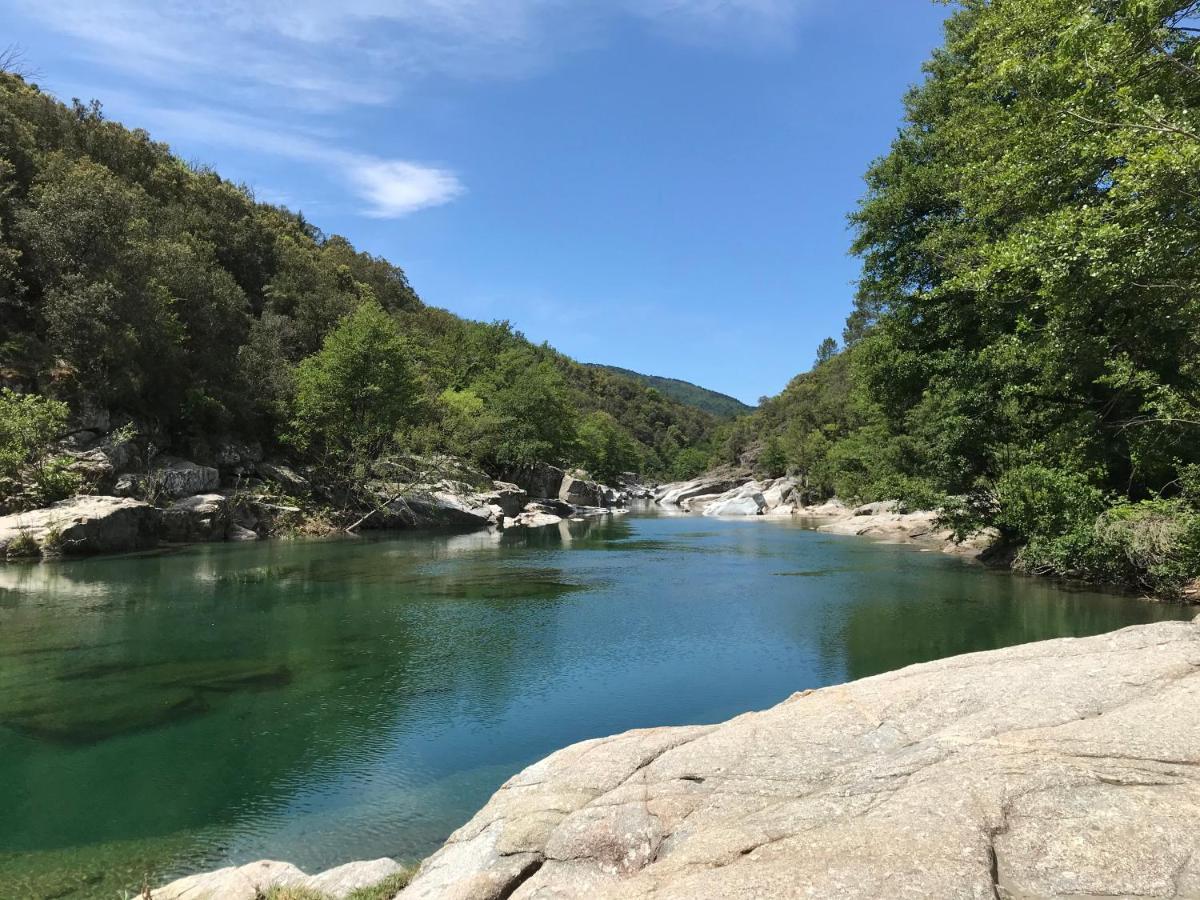 Chambre D'Hote Lavande - Le Soleil Des Cevennes Saint-Jean-du-Gard Buitenkant foto