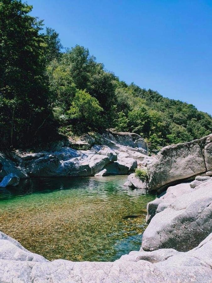 Chambre D'Hote Lavande - Le Soleil Des Cevennes Saint-Jean-du-Gard Buitenkant foto